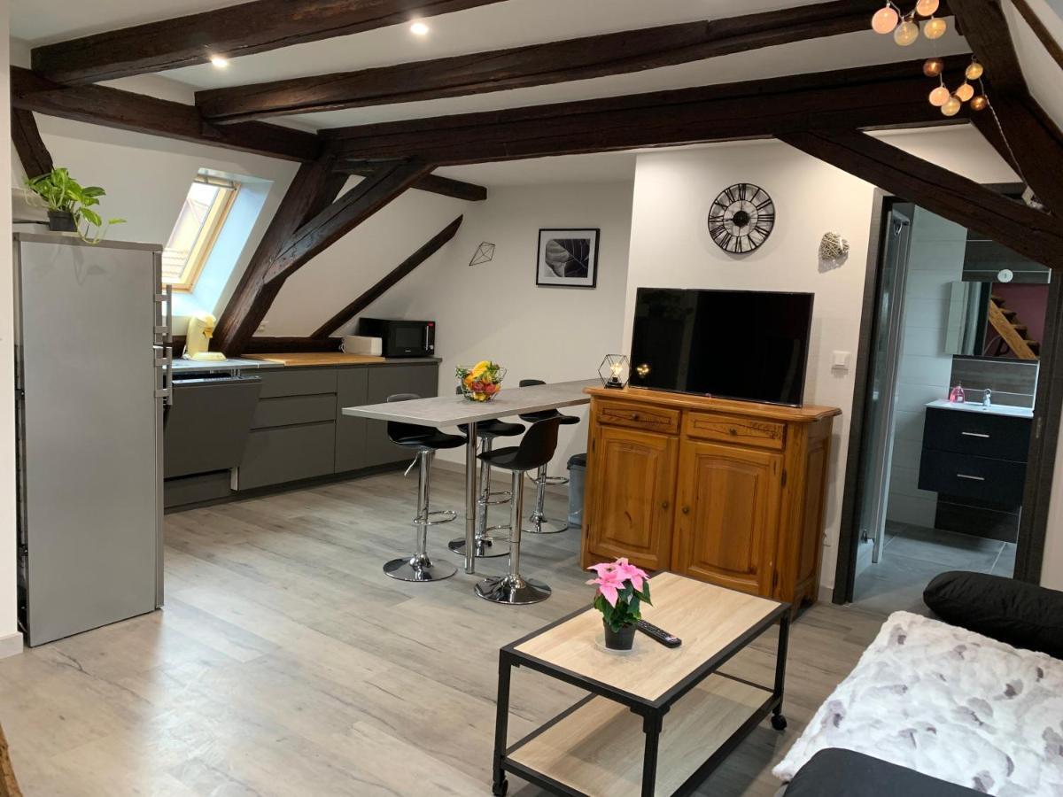 Gite Du Figuier 4 A 6 Personnes Selestat Centre-Alsace Kültér fotó